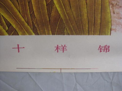 金正惠作 十样锦 印刷品 画一张 78 54厘米