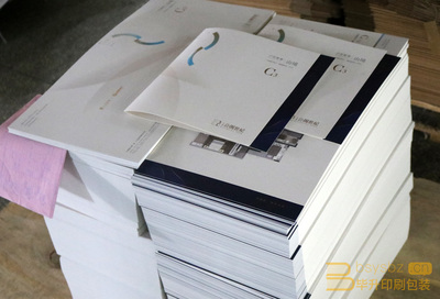 专业楼书印刷服务 仁恒公园世纪项目二折页与楼书印刷方案解析